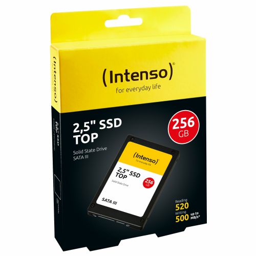 256 GB Intenso vrhunska zmogljivost