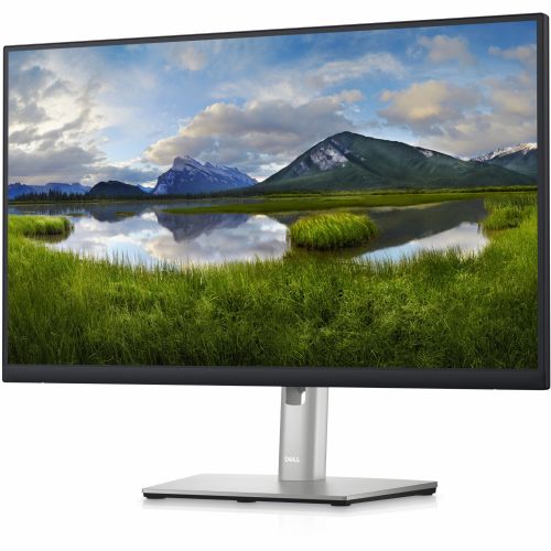 Monitor Dell P2423D, 60,45 cm (23,8''), WQHD (2560 x 1440), 16 : 9, 8 ms, IPS, DisplayPort, HDMI, USB, pivot, črno-srebrne barve