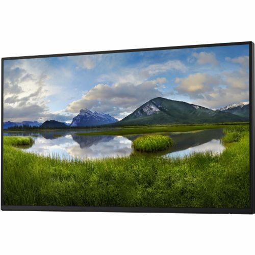 Monitor Dell P2425H 61 cm (24"), 1920x1080 (FHD), 16:9 FHD IPS 5ms 100Hz HDMI DP VGA USB-C 15W, črna/srebrna