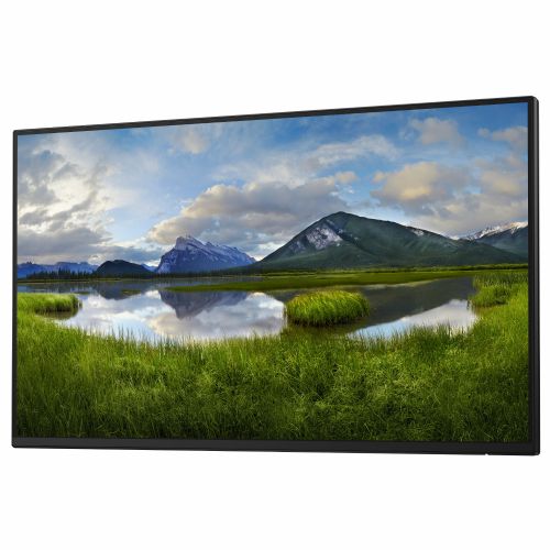 Monitor Dell P2425H 61 cm (24"), 1920x1080 (FHD), 16:9 FHD IPS 5ms 100Hz HDMI DP VGA USB-C 15W, črna/srebrna