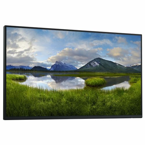 Monitor Dell P2425H 61 cm (24"), 1920x1080 (FHD), 16:9 FHD IPS 5ms 100Hz HDMI DP VGA USB-C 15W, črna/srebrna