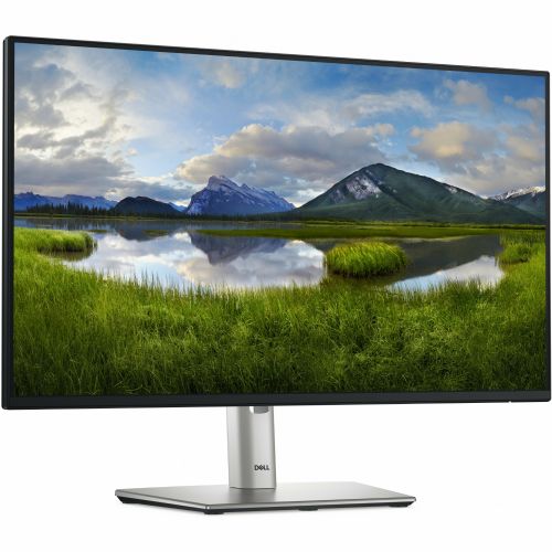 Monitor Dell P2425HE (210-BMJB), 60,45 cm (23,8"), 1920 x 1080 (FHD), 16 : 9, IPS, 250 cd/m2, 5 ms, USB-C (90 W), HDMI, DP, siv (210-BMJB) 98136159