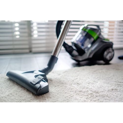 Bagless vacuum cleaner Vacum green, 700W, HEPA