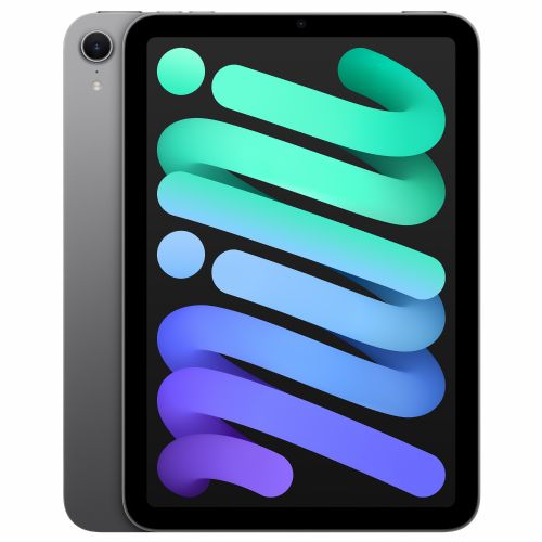 Tablični računalnik Apple iPad mini Wi-Fi 256 GB - Space Grey