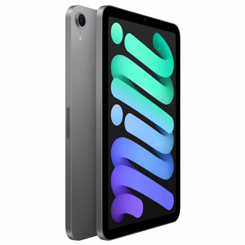 Tablični računalnik Apple iPad mini Wi-Fi 256 GB - Space Grey