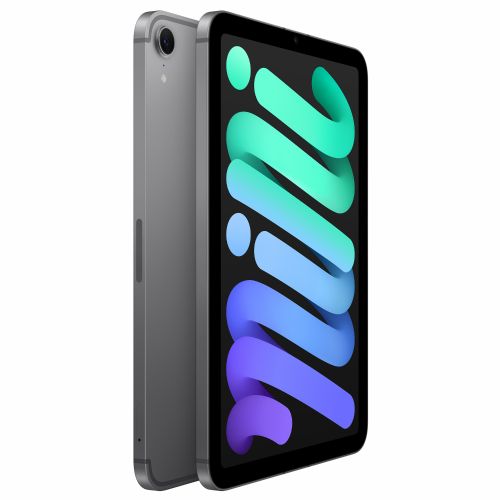 Tablični računalnik Apple iPad mini Wi-Fi + Cellular 256 GB - Space Gray