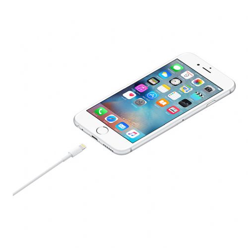 Cable APPLE Lightning to USB 1m