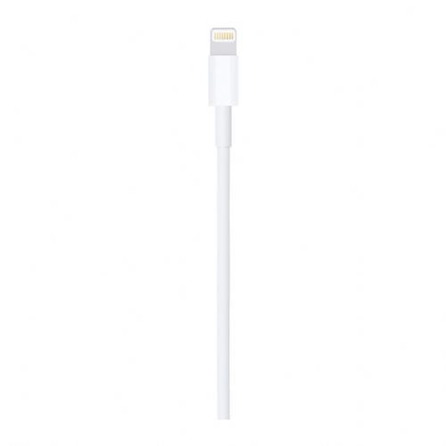 Cable APPLE Lightning to USB 1m