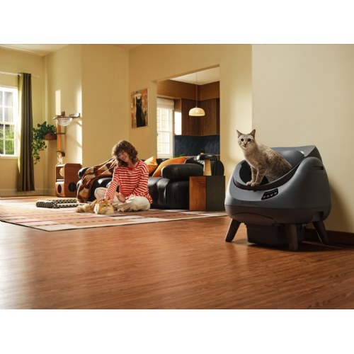 Catlink Open X small animal toilet, self-cleaning, open design, triple deodorization, app control, quiet operation