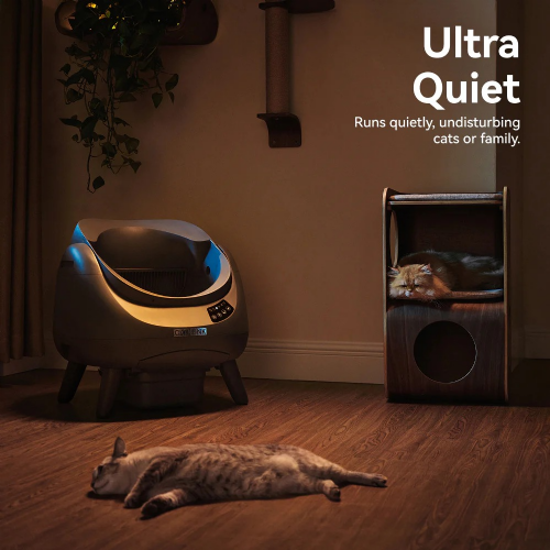 Catlink Open X small animal toilet, self-cleaning, open design, triple deodorization, app control, quiet operation