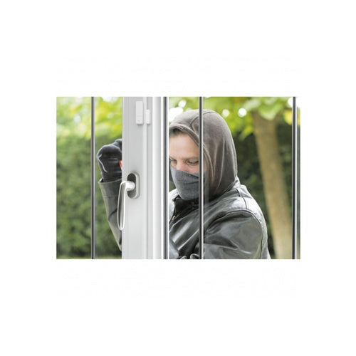 Detektor za vrata/okna Bosch Smart Home Door/Window Contact II Plus (bel, paket dveh)