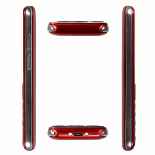 EVOLVEO Easyphone LT EP-880 push-button phone for the elderly 4G red