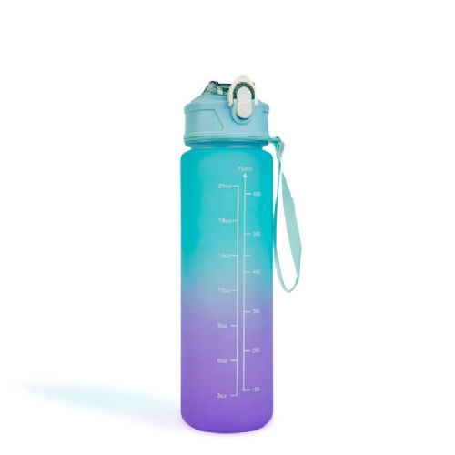 Family sports water bottle - 750ml - BPA FREE - green/purple with built-in straw