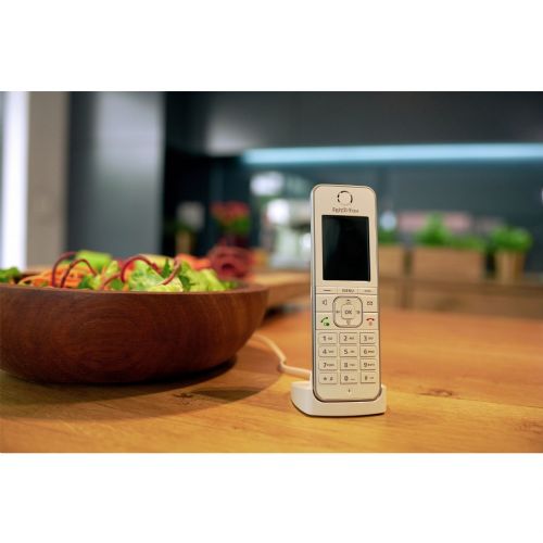 GSM phone FRITZ! C6 wireless, DECT/GAP, color display, 300 numbers, range up to 300 m