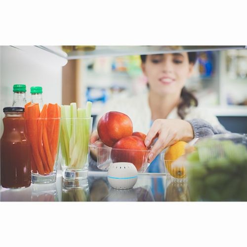 Home Shelly senzor "H&T" WiFi senzor temperature in vlažnosti baterija bela