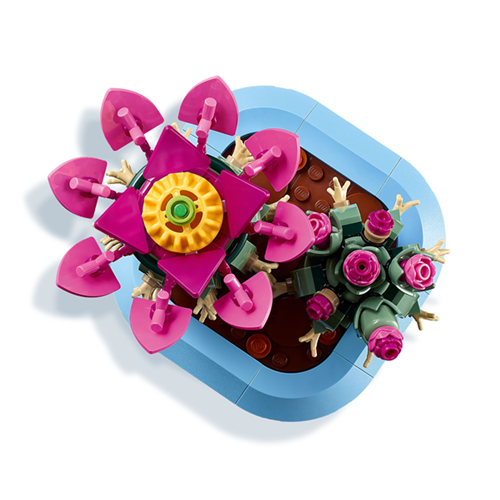 Lego Botanicals: Flowering Cactus, 482 pieces, ages 9 and up (11509)