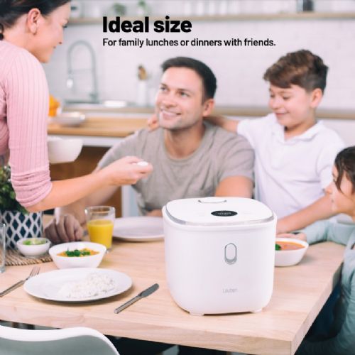 Kuhalnik Lauben 3000WT