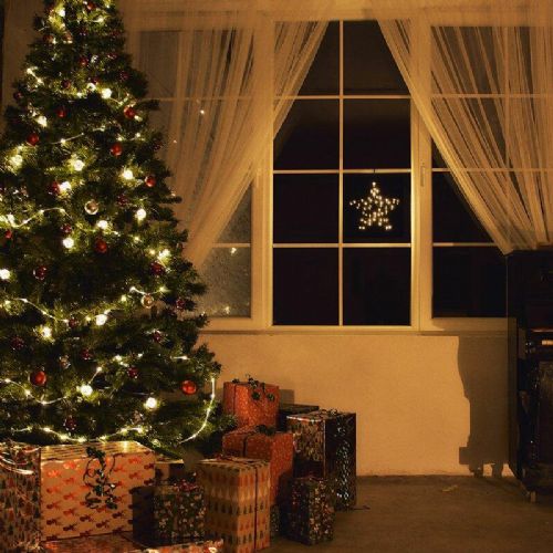 LED Christmas window decoration star