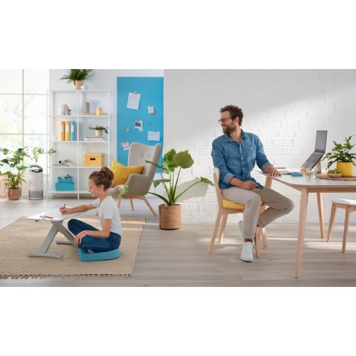 Leitz Ergo Cosy lift stand