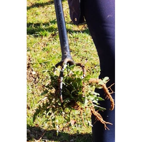 Weed remover