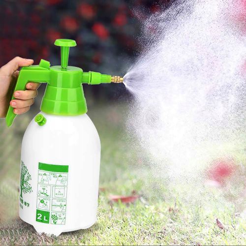 Sprayer with pressure pump 2l - syringe