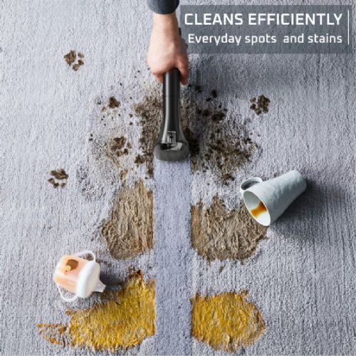 Čistilnik madežev Rowenta Clean It IN5012F0, 400W