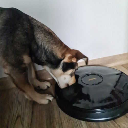 Automatic Smart Animal Food Feeder LCD 6 Chambers