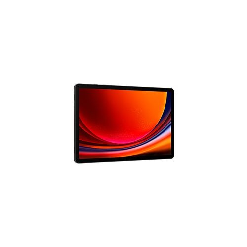 Tablični računalnik Samsung Galaxy Tab S9, 256 GB, LTE, DE, grafitne barve