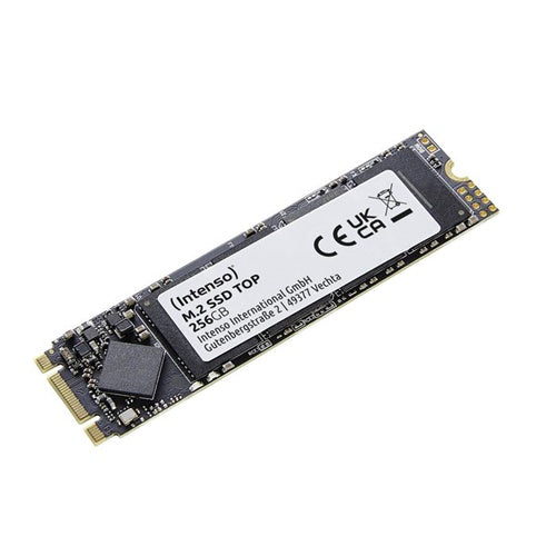 SSD disk Inteso TOP 256 GB, SATA 6 Gb/s, M.2