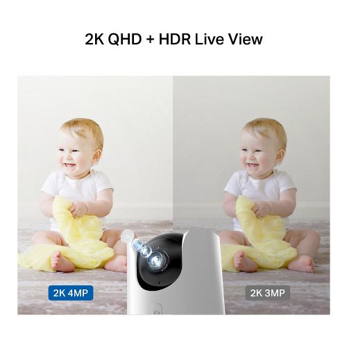 TP-Link Tapo C225 security camera