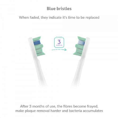 Električna zobna ščetka TrueLife Clean30