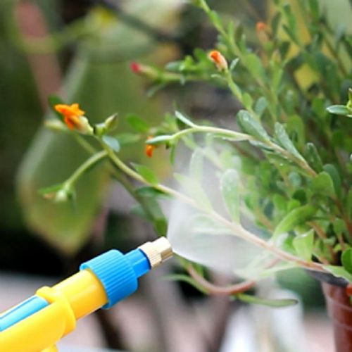 Garden hand sprayer - bottle pump