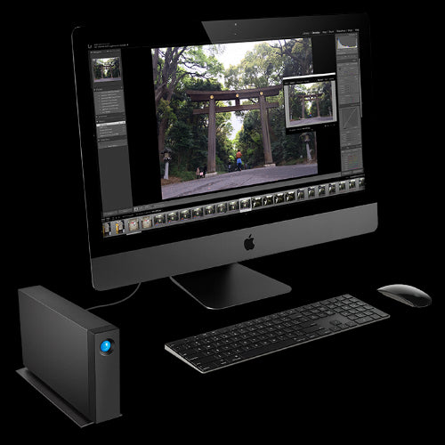 Zunanji HDD LaCie d2 Professional 4 TB (črn, USB-C 3.2 Gen 1)