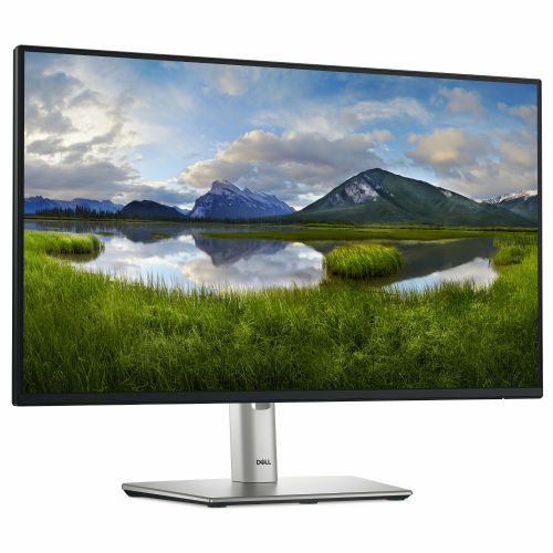 Monitor Dell P2425HE (210-BMJB), 60,45 cm (23,8 Zoll), 1920 x 1080 (FHD), 16:9, IPS, 250 cd/m2, 5 ms, USB-C (90 W), HDMI, DP, grau (210-BMJB) 98136159