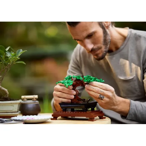 Lego Icons Botanische Sammlung: Bonsai (10281)