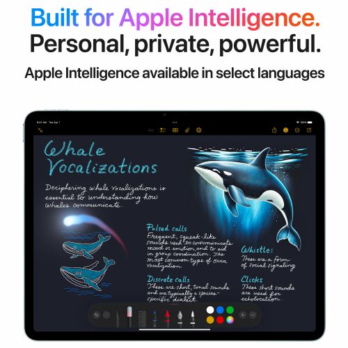 Apple iPad Air 11 M3 Wi-Fi + Cellular 512GB (polarstern) tablet di settima generazione