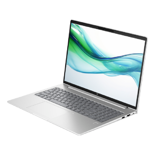 Prenosnik HP ProBook 460 G11, Intel Ultra 5-125U/16 GB/SSD 1 TB NVMe/40,6 cm (16"), WUXGA, 300 niti/Win11Pro, siv (A38DXET)