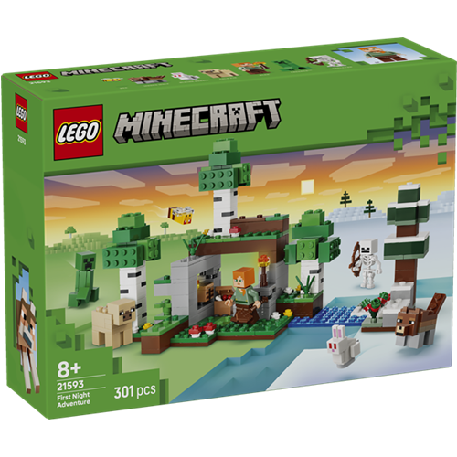 Kocke Lego Minecraft: Prva nočna pustolovščina, 301 kos, od 8. let (21593)