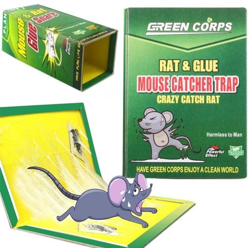 Sticky trap for rats and mice - plate 31x21cm 18701732