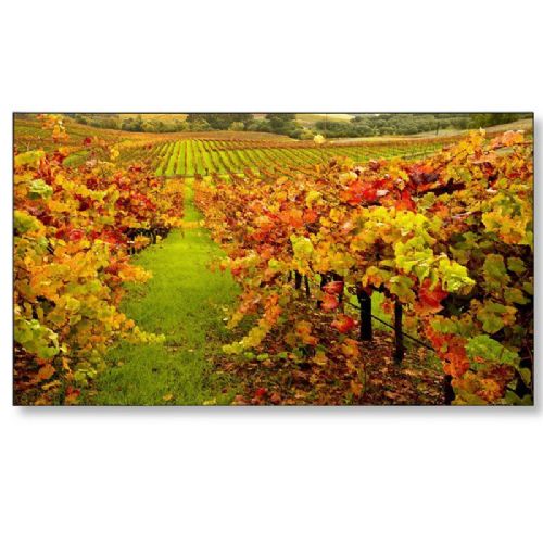 Informacijski monitor NEC MultiSync X555UNS 139 cm (55") S-IPS LED LCD