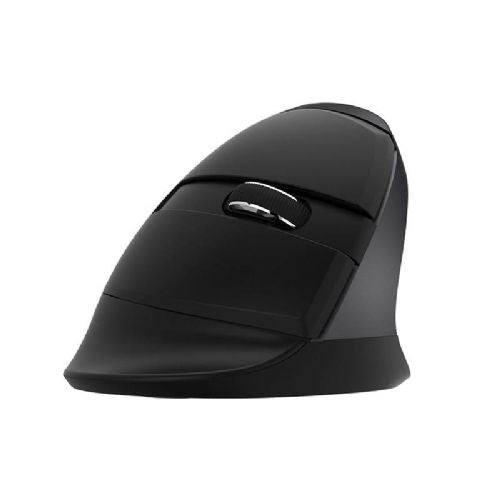Brezžična navpična miška Delux M618Mini DB BT+2.4G 2400DPI (črna)