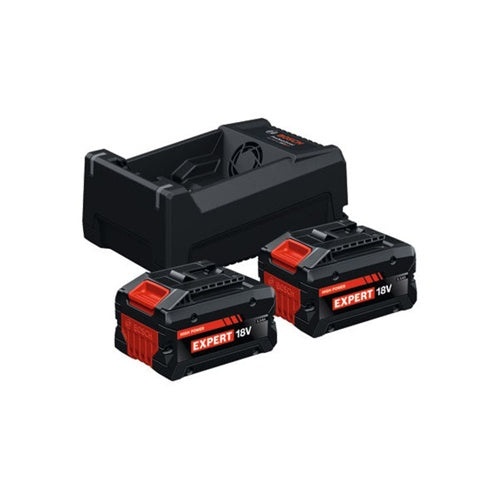 Starter kit with 2 Bosch EXPERT EXBA 18V-55 batteries + GAL 12V/18V-80 dual voltage charger (black, 2 lithium-ion batteries 5.5 Ah, AMPShare Alliance)